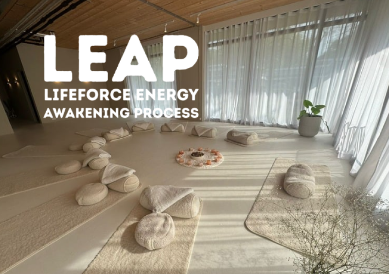LEAP Special met Nieky & Riëlle - Eindhoven - Trabajo energético, Desarrollo espiritual, Kundalini