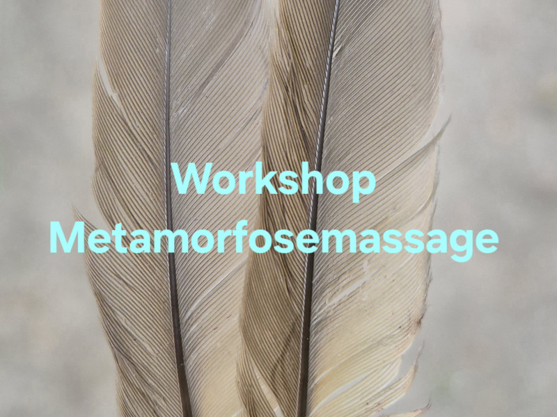 Workshop Metamorfosemassage - Travail corporel, Guérison, Santé