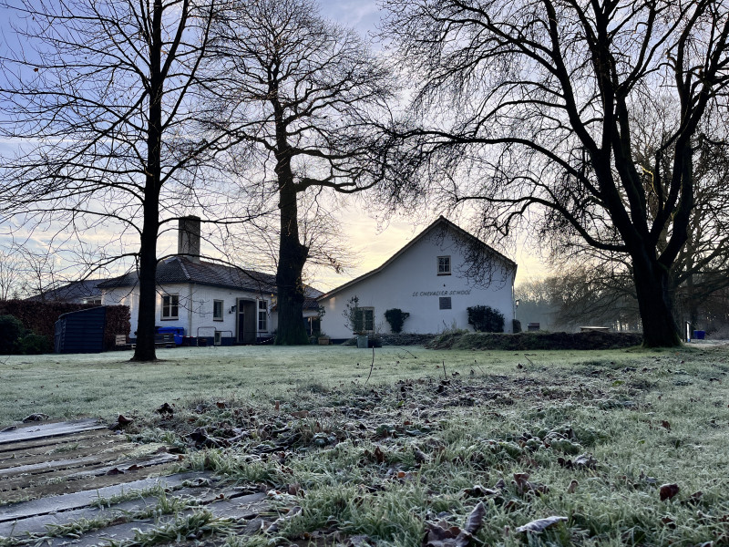 Offline weekend - Reflectie in Beweging
