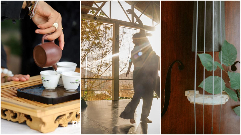 From Stillness to Movement 🗻🌊 Tea Ceremony - Contact Jam - Music