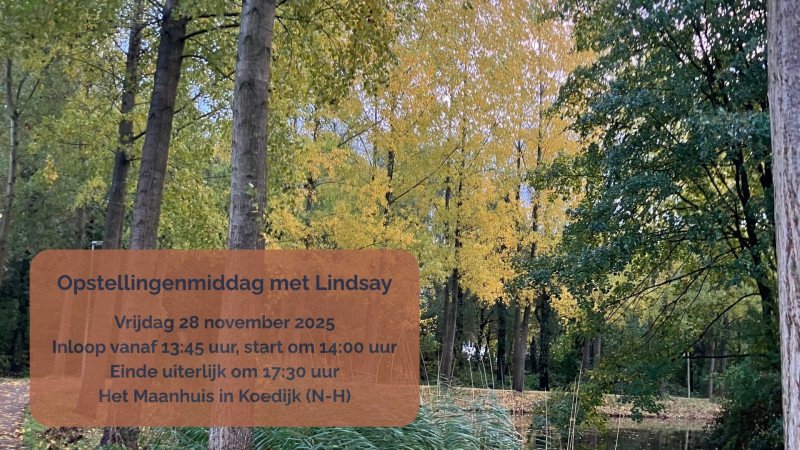 Opstellingenmiddag met Lindsay - Constellations familiales, Travail énergétique, Travail systémique