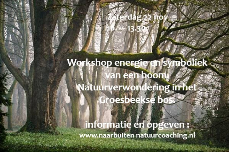 Workshop de energie van een boom natuurverwondering, Groesbeekse bos
