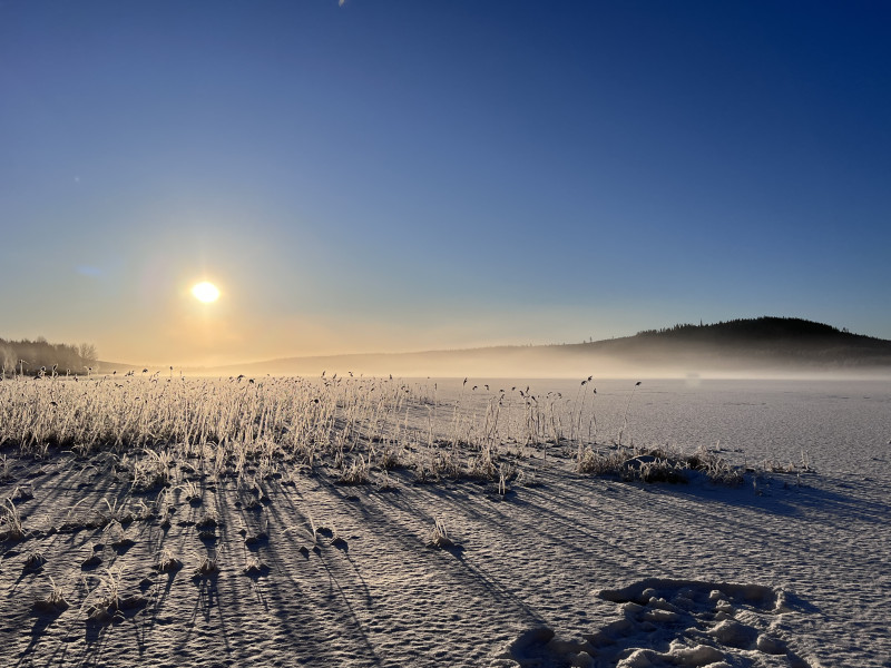 𝗠𝗔𝗡𝗡𝗘𝗡𝗩𝗔𝗦𝗧 | Watervasten | Online programma  - Detox, Mannencirkels, Voeding