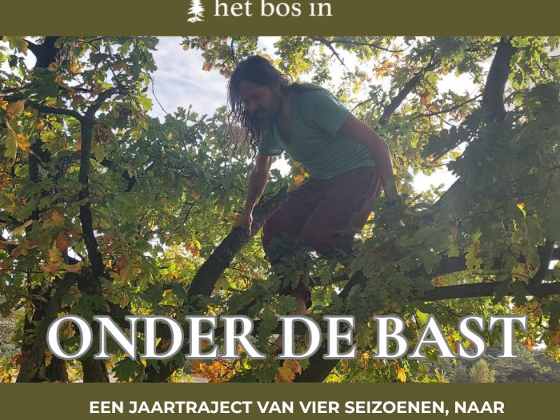 Onder de bast - jaartraject voor mannen