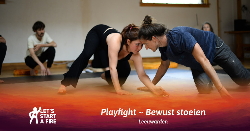 Playfight - Speelsheid, Lichaamsbewustzijn, Overige Workshops