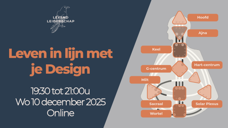 Stop met energielekken: Leven in lijn met je Human Design  - Human design, Persoonlijk Leiderschap, Persoonlijke Ontwikkeling