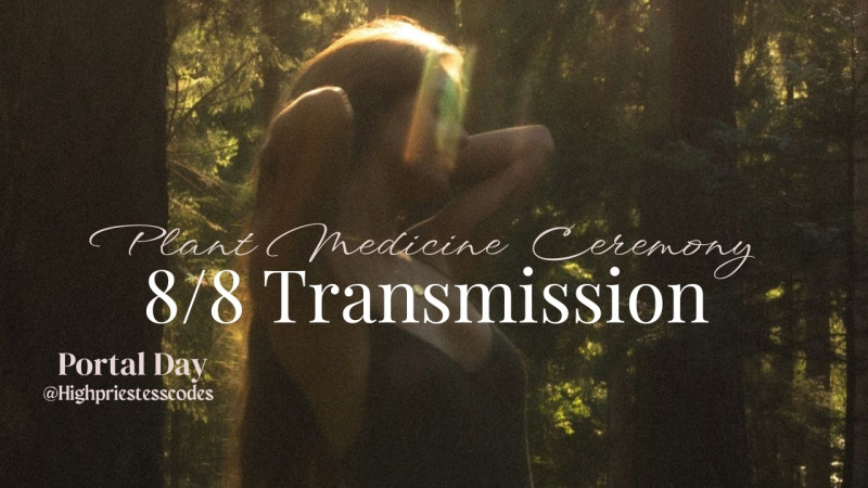8-8 Transmission & Plant Medicine Journey