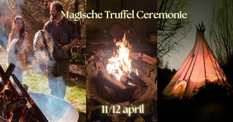 Magische Truffelceremonie - Truffle Ceremony, Sound Journey-Soundbath, Plant Medicine