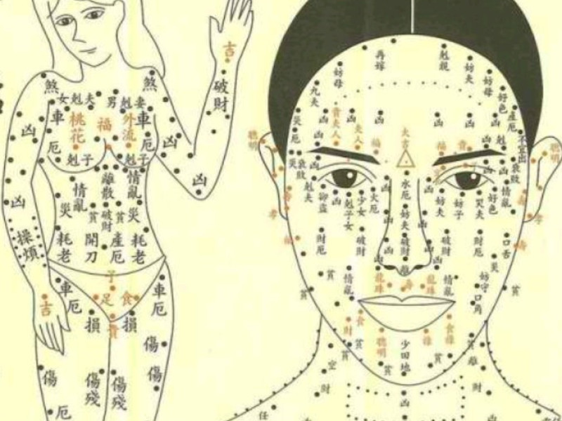 Lezing - Wat het gelaat onthult! - Rhené Emmerich - Conférence, Développement spirituel
