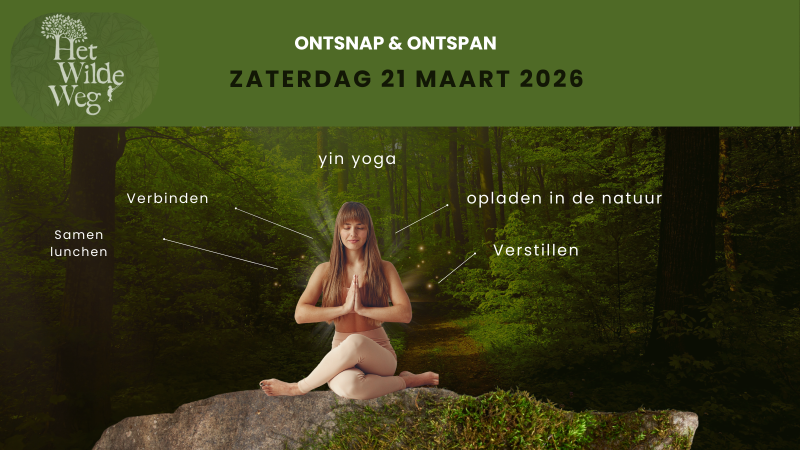 Ontsnap & Ontspan – dagretreat voor verbinding, rust en verstilling