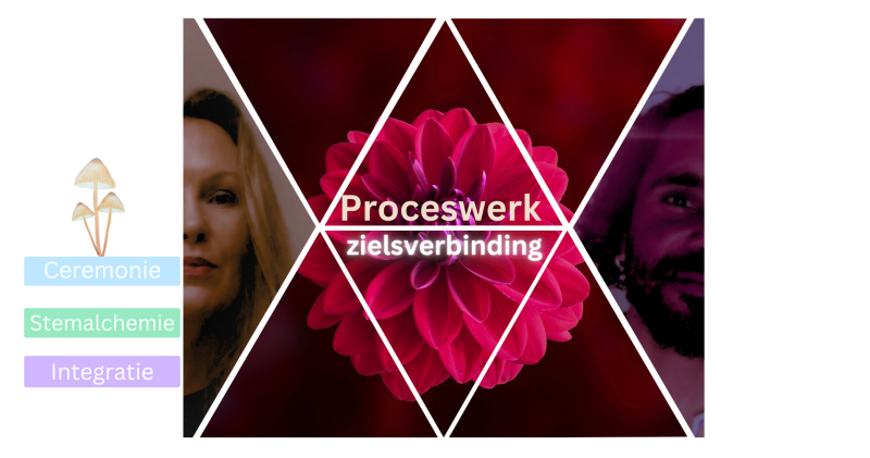 Proceswerk Zielsverbinding - Soul Retrieval, Innerlijke Reis, Plantmedicijn