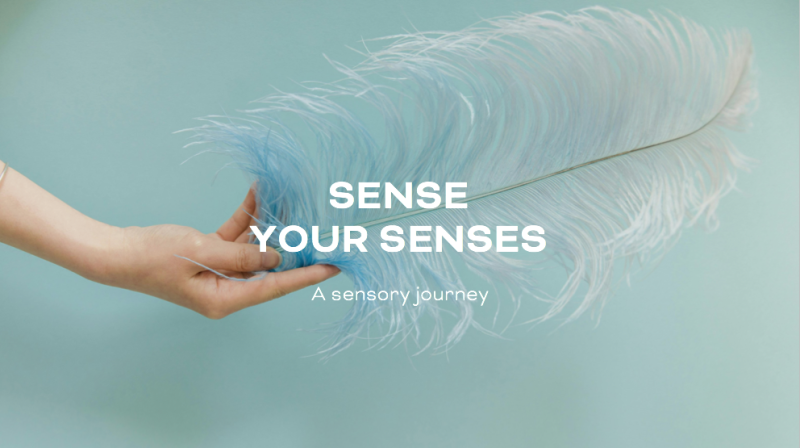 SENSE YOUR SENSES a sensory journey