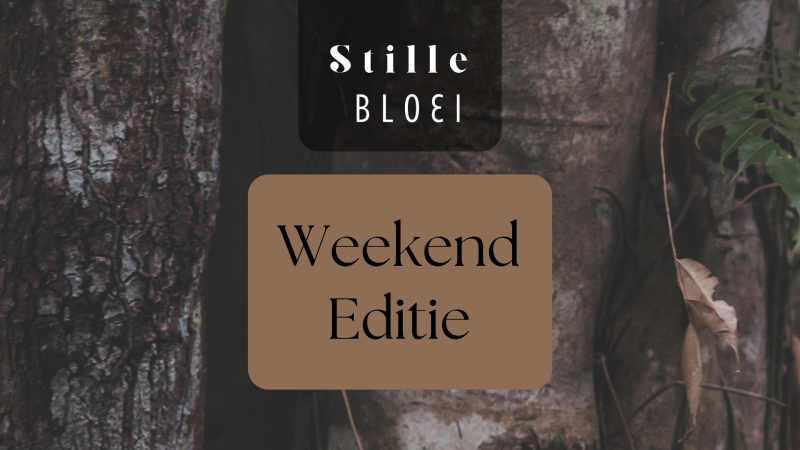 Stiltewandeling | Basic XL - Stilteretraite, Mini retraite in de natuur, Vrouwencirkels