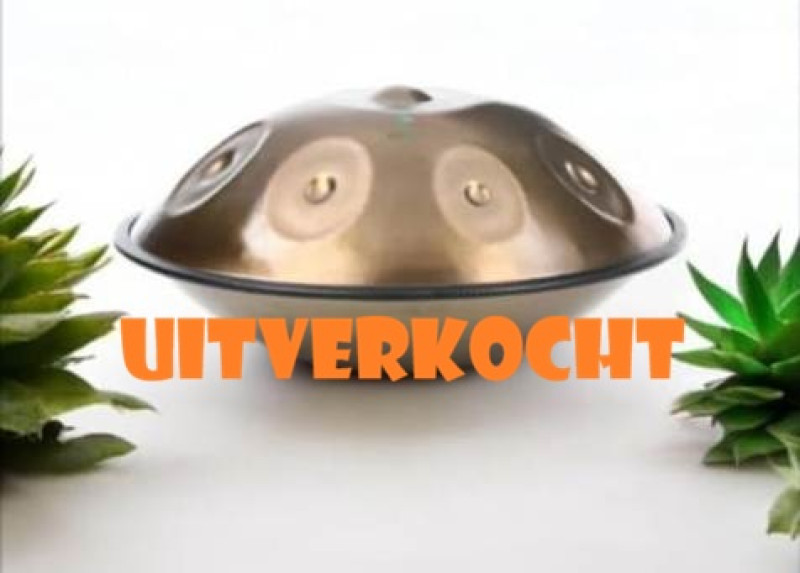 Handpan workshop Leeuwarden