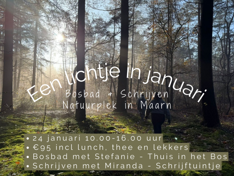 Bosbad & Schrijven - een lichtje in januari - Bain de forêt - Shinrin Yoku, Écriture, Nature