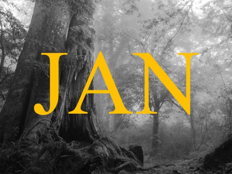 Opstellingenavond januari: Jouw potentieel