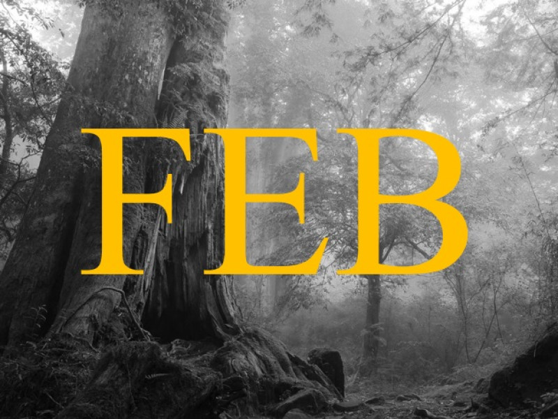 Opstellingenavond februari 'Familie: wortels van liefde'