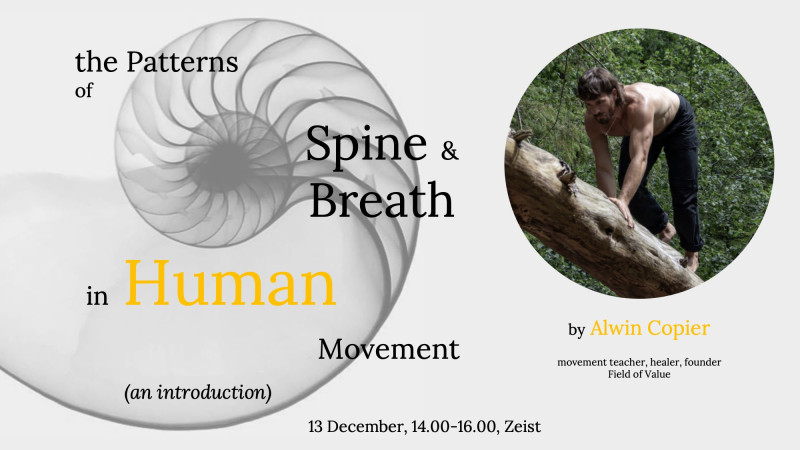 The Patterns of Spine & Breath - Ademwerk, Movement, Healing