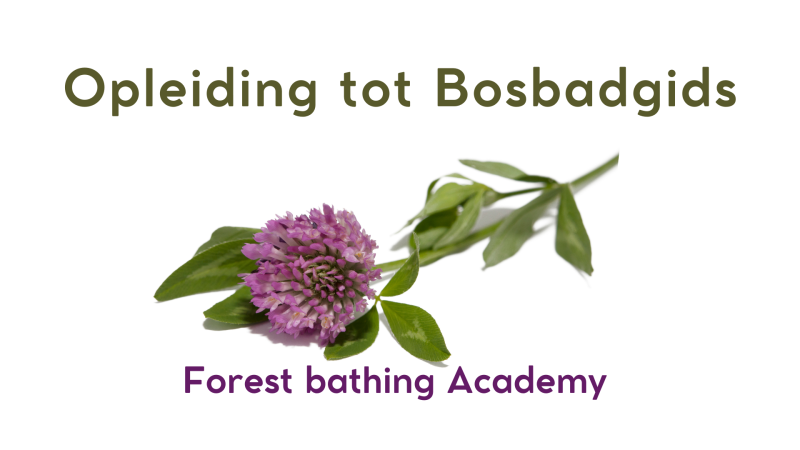 Opleiding tot Bosbadgids