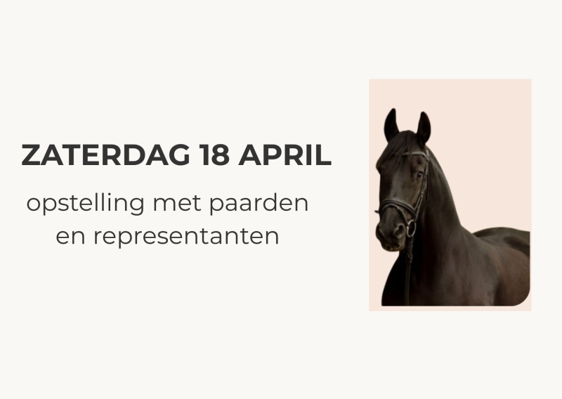 Familieopstelling met representanten en paarden