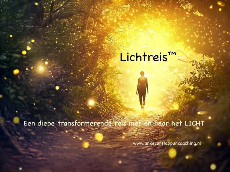 LICHTREIS™️ 💫
