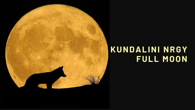 Kundalini NRGY Volle maan, Hoorn - Activation de la Kundalini, Kundalini, Travail énergétique
