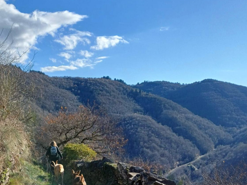 EleMens - Retreat to Nature (Spring)