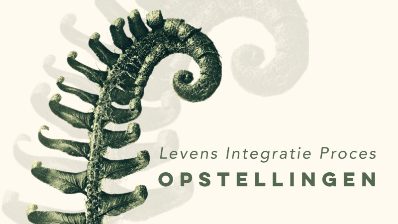 LIP opstellingen, de relatie met jezelf - Travail systémique, Développement de la conscience, Système familial