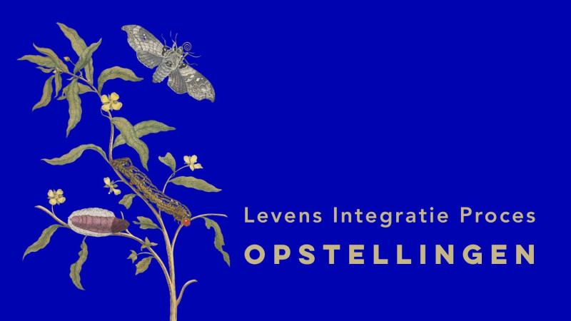 LIP opstellingen, de relatie met jezelf