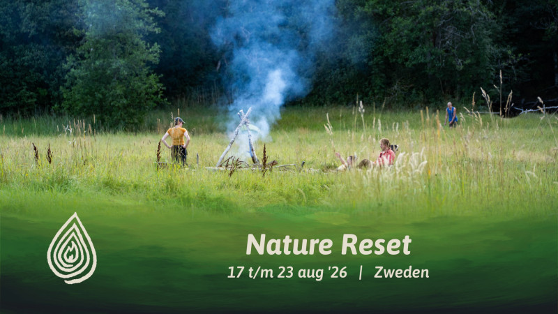 Nature Reset ~ Zweden