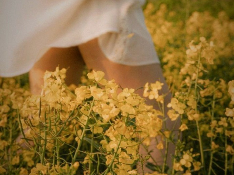 Spring Afternoon Retreat - 'A new beginning'