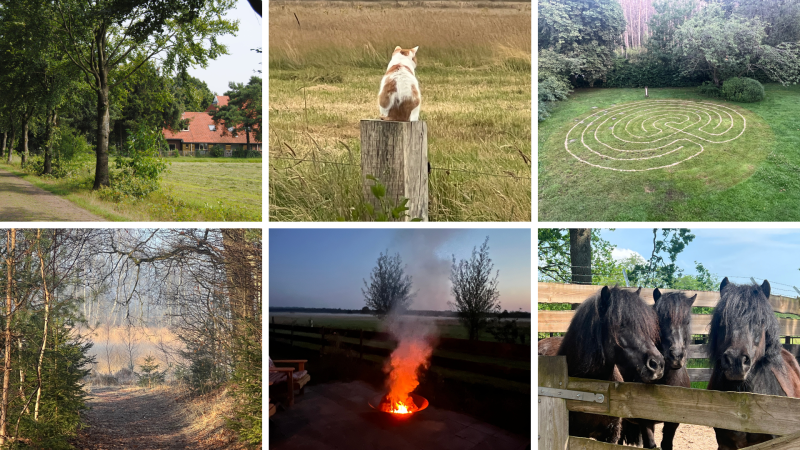 VOORJAARSRETREAT: FOLLOW (YOUR) NATURE