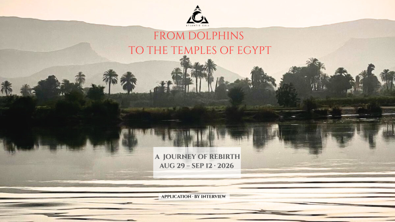 Sacred Dolphin Journey and Nile Cruise Temple Tour to Egypt