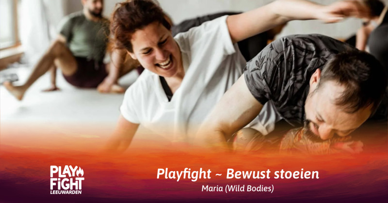 Playfight ~ Leeuwarden - Speelsheid, Lichaamsbewustzijn, Overige Workshops