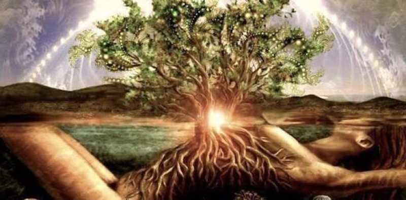 IMBOLC DANCE IN NATURE - Ecstatic Dance, Natuur, Keltische Jaarfeesten