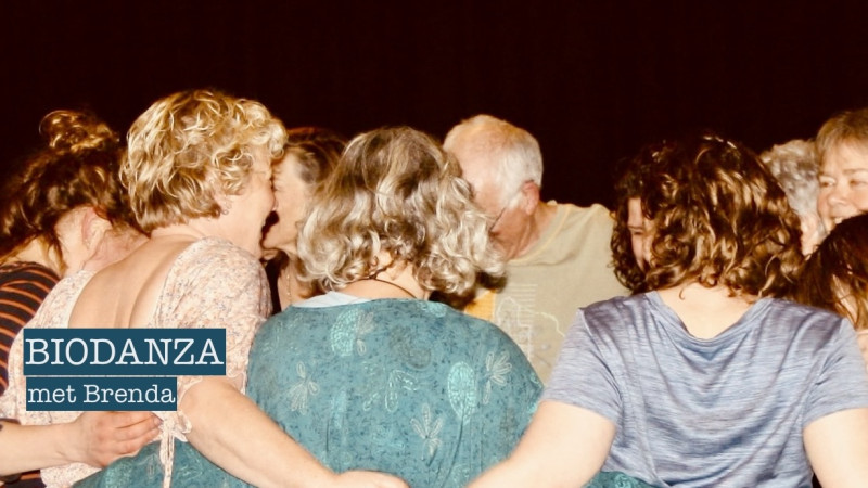 Biodanza verdiepingsdag