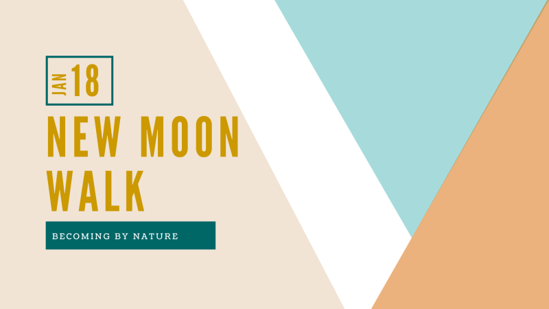 New Moon Walk with Cacao
