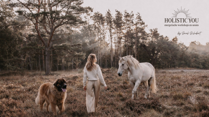 Biotensor Workshop "NEI voor Dieren"