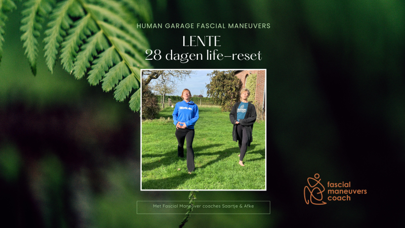 Fascial Maneuvers online life-reset Cursus - Health, Relaxation, Body Awareness