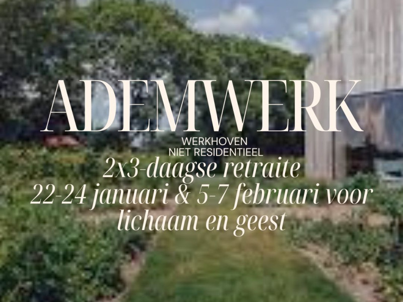 Basis training Bewust verbonden ademwerk Module 1