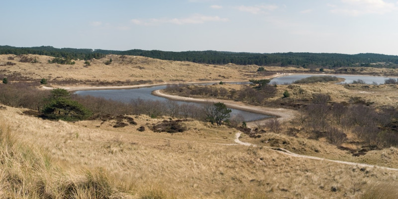 LENTEZIN - wandeltocht met aandacht, speelsheid en ruimte voor jezelf