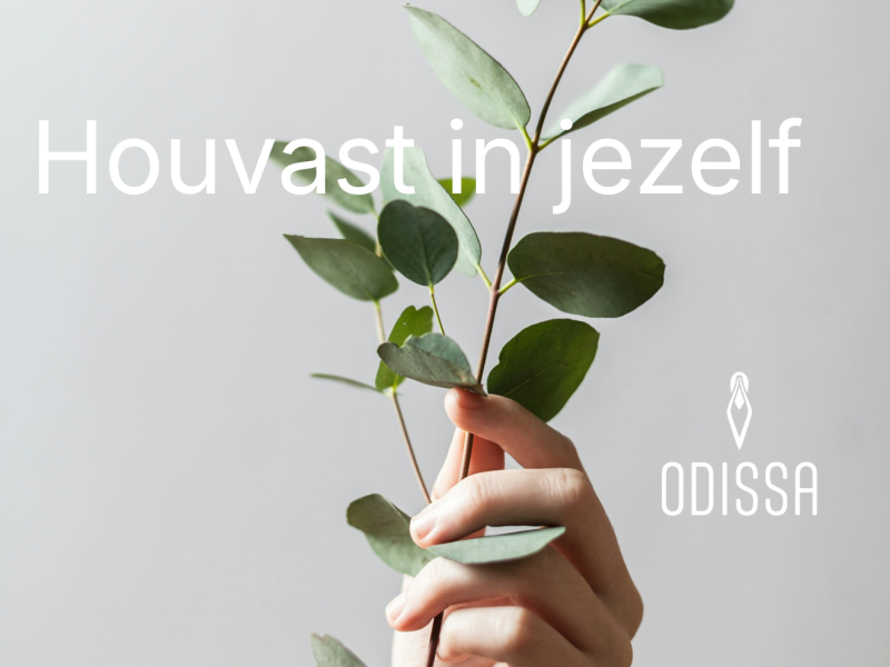 Training: Houvast in jezelf - Mindfulness, Lichaamsbewustzijn, Persoonlijke Ontwikkeling