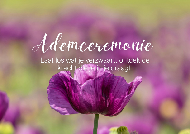 Ademceremonie | BreathAware - Breathwork, Cercle de respiration, Travail corporel