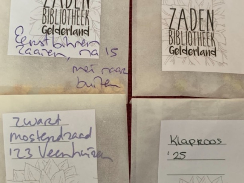 Heksencafé  - Spirituele ontwikkeling, Schaduwwerk, Verbinding
