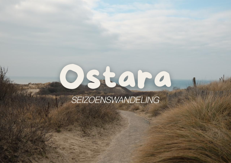 Ostara Seizoenswandeling  - Nature, Celtic Year Festivals, Hiking