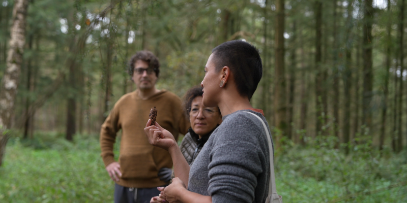 De natuur op tafel - Lente - Nature, Connection, Herbs