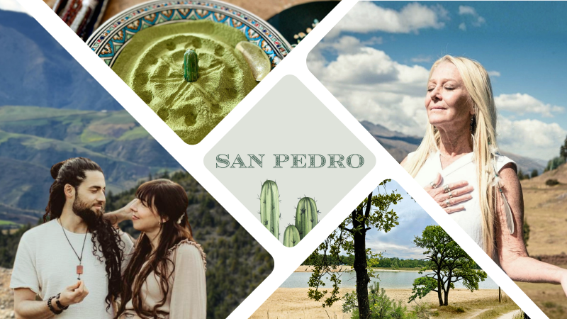 Fully Guided San Pedro Retreat | Before, During & Beyond