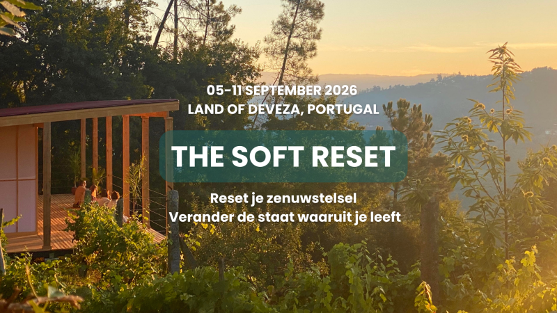 The Soft Reset in Portugal