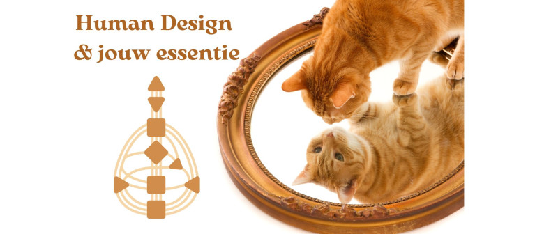 Een Ontmoeting met Jezelf -Human Design workshop over je pure essentie