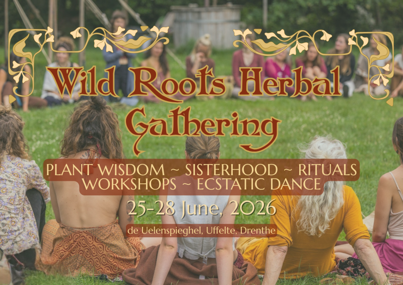 Wild Roots Herbal Gathering 2026 - Festivals, Women's Workshops, Herbs